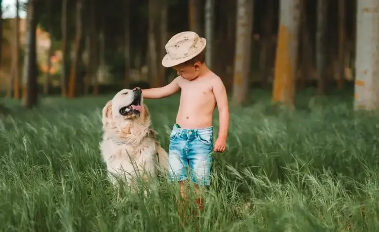 A Segurança do Seu Bebê e o Seu Cachorro: Dicas Essenciais para uma Convivência Harmônica
