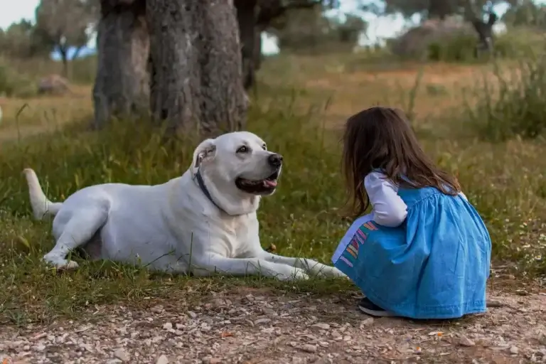 Os Melhores Parques para Cachorros em São Paulo