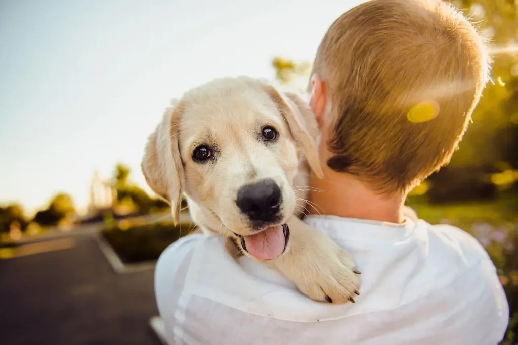 Dicas Essenciais para Donos de Cachorro 1 Dicas e Cuidados Essenciais para o Seu Melhor Amigo Canino